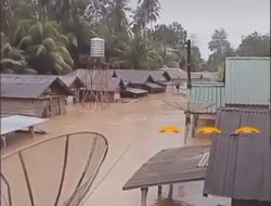 12 Pelajar SD Tewas Diterjang Bandang, Madina Darurat Bencana