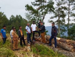 Penebangan Kayu Hutan Lindung di Desa Motung Marak