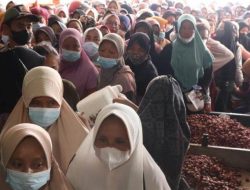 Emak-emak Lampung ‘Mengular’ Antre Beli Minyak Goreng Murah