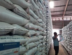 BPS Aceh Proyeksikan Produksi 396 Ribu Ton Beras Kuartal I 2022