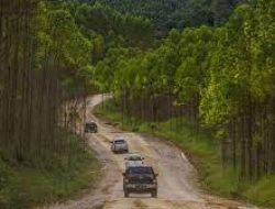 Ritual Adat Bakal Warnai Kegiatan Kemah Jokowi Di IKN Nusantara