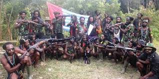 Polisi Klaim Tetap Tumpas KKB Papua Meski Ubah Pola Pengamanan
