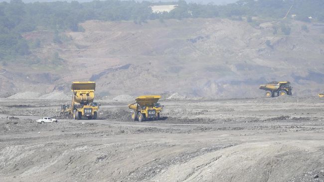 Walhi Duga PT GKP Lakukan Aktivitas Tambang Ilegal Di Wawonii