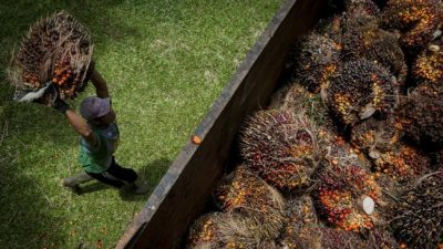 India Prediksi Jokowi Buka Keran Ekspor CPO dan Minyak Goreng 10 Mei