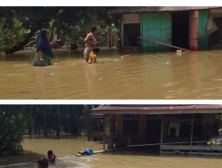 BPBD Langkat : Banjir Merendam 20 Rumah Warga di Sei Lepan