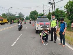 Dua Pemotor Laga Kambing Satu Tewas di Tempat