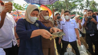 Tabur Benih Ikan di Sungai Belutu