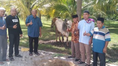 Plt Bupati Langkat & Keluarga Berqurban 7 Ekor Sapi