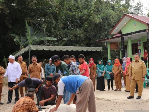 1.807 Ekor Hewan Kurban di Tapsel