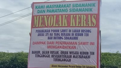 Konversi Tanaman Teh Bah Butong Warga Dua Kecamatan Tetap Menolak