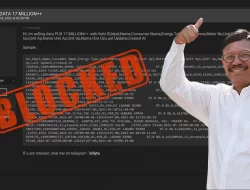 Situs Hacker Pembocor Data PLN Tak Terdaftar PSE, Kominfo Akan Blokir