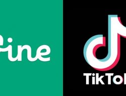 Setelah Akuisisi Twitter, Elon Musk Ingin Bangkitkan Vine Buat Lawan TikTok