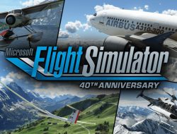 40 Tahun Microsoft Flight Simulator, Rayakan Keberasilan
