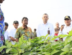 Peninjauan Lokasi Verifikasi dan Usulan Satya Lencana Kehormatan Pembangunan Provinsi Sumatera Utara 2023