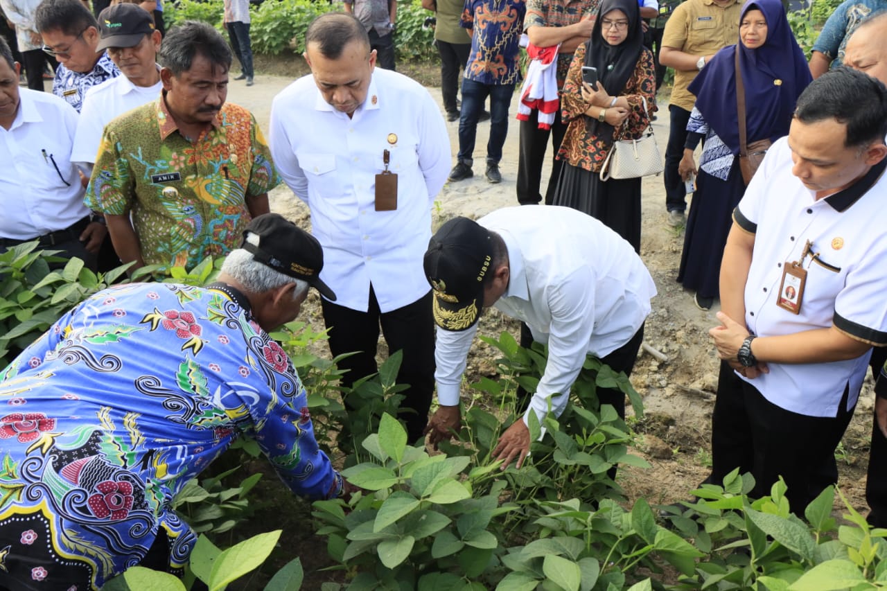 Peninjauan Lokasi Verifikasi dan Usulan Satya Lencana Kehormatan Pembangunan Provinsi Sumatera Utara 2023