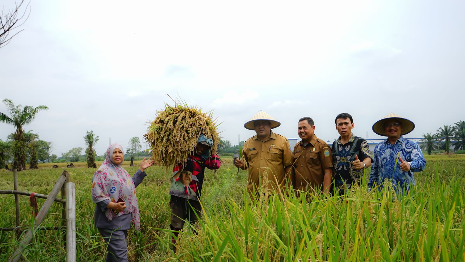 Panen Raya di Lingkungan IX Kelurahan Cengkeh Turi
