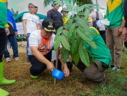 Pemko Tebing Tinggi Gelar Gotong Royong Serentak Di Seluruh Kelurahan Dan Penanaman Bibit Pohon Di Bantaran Sungai Padang