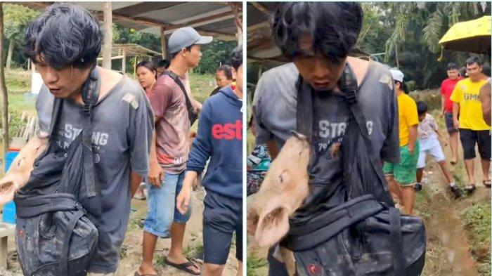 Pelaku pencurian hanya bisa tertunduk menahan sakit dan malu usai dihakimi warga dan diarak sambil menggendong anak babi.