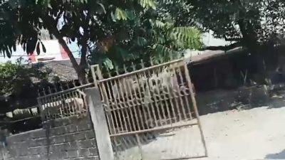 Aju Raja Judi Binjai Juga Buka di Brahrang, Pasar VII Tandam Masih Beroperasi