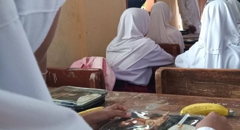 Heboh! Siswa SMA Negeri 14 Batam Temukan Anak Kecoa Hidup di Nasi Kotak Program Makan Bergizi Gratis