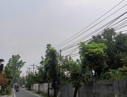 Pantau Kualitas Udara, Pemko Medan Imbau Warga Kurangi Aktivitas Luar Ruangan